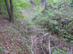 
Lasgarn Railroad branch down to the large quarry, May 2010